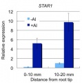 Thumbnail for version as of 11:20, 4 June 2014