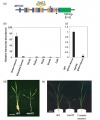 Thumbnail for version as of 14:33, 9 June 2014