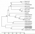 Thumbnail for version as of 06:48, 5 March 2015