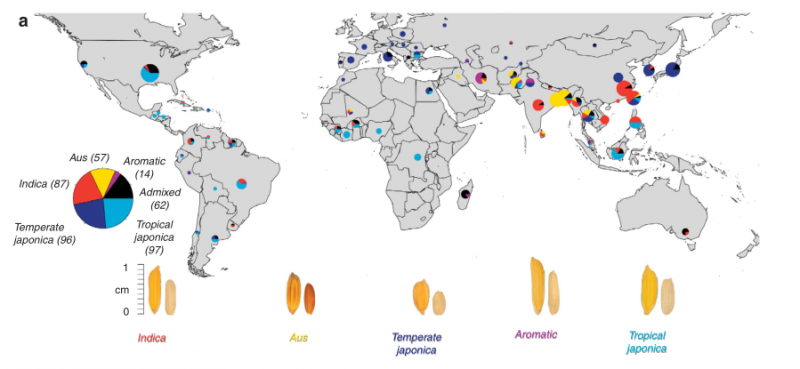 File:IC4R002-GWAS-2011-21915109-1.PNG