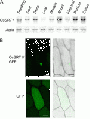 Thumbnail for version as of 08:00, 10 June 2014