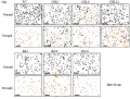 Thumbnail for version as of 14:49, 26 May 2014