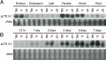 Thumbnail for version as of 09:08, 4 June 2014