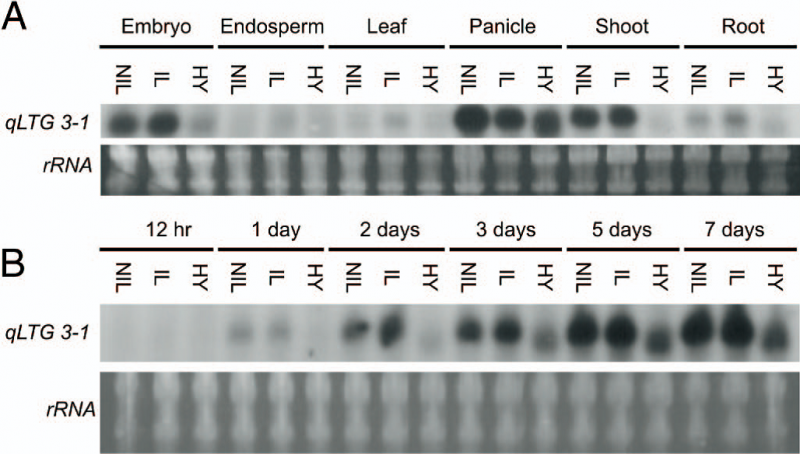 File:FIGURE3.png