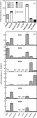 Thumbnail for version as of 07:48, 5 June 2014