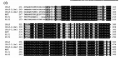 Thumbnail for version as of 04:03, 2 June 2014