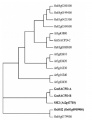 Thumbnail for version as of 11:16, 3 June 2014