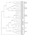 Thumbnail for version as of 02:38, 10 June 2014