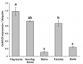 Thumbnail for version as of 12:10, 5 June 2014