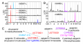 Thumbnail for version as of 15:13, 21 June 2016