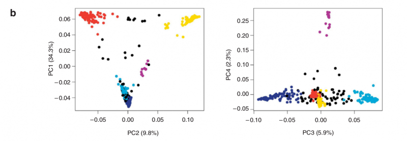 File:IC4R002-Microarray-2011-21915109-2.png