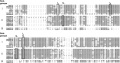 Thumbnail for version as of 08:32, 21 May 2014