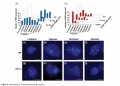 Thumbnail for version as of 13:04, 23 May 2014