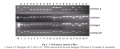 Thumbnail for version as of 11:51, 13 June 2014