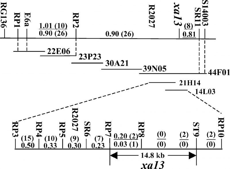 File:图片14.8.png