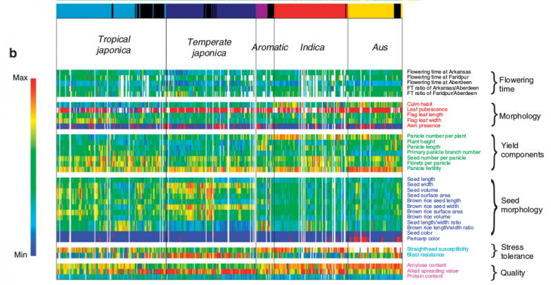 File:IC4R002-Microarray-2011-21915109-5.png