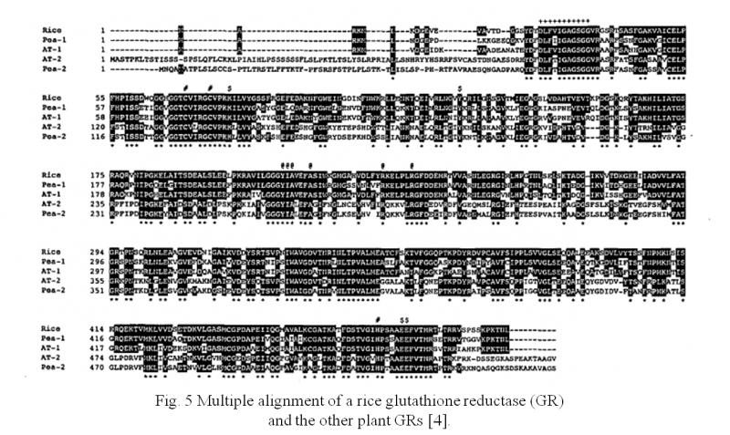 File:OsGR2 Fig.5.png