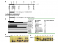 Thumbnail for version as of 07:31, 9 June 2014