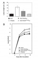 Thumbnail for version as of 08:39, 7 June 2014