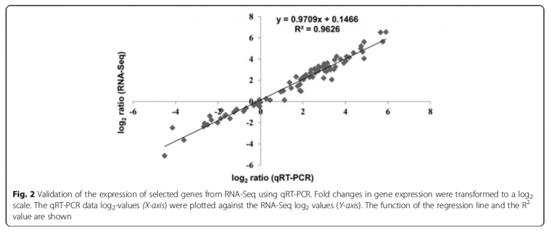 Sg6-RNA-Seq-2016-27216147-1.png