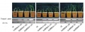 Thumbnail for version as of 00:31, 10 June 2014