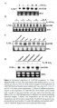 Thumbnail for version as of 03:14, 9 June 2014