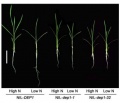Thumbnail for version as of 08:17, 24 May 2014
