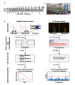 Thumbnail for version as of 09:51, 22 July 2016