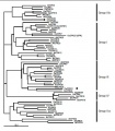 Thumbnail for version as of 04:25, 5 January 2015