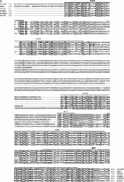 File:1-s2.0-S0378111903007236-gr2r2.gif