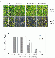 Thumbnail for version as of 12:33, 26 June 2014