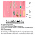 Thumbnail for version as of 17:02, 10 June 2014