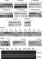 Thumbnail for version as of 08:33, 15 January 2015