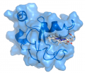 Thumbnail for version as of 06:27, 8 June 2014