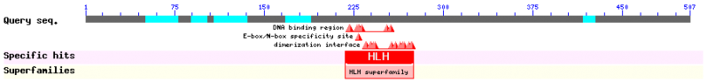 File:BHLH BGIOSGA030958.png