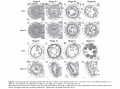 Thumbnail for version as of 12:59, 23 May 2014