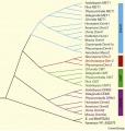 Thumbnail for version as of 08:36, 6 June 2014