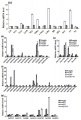 Thumbnail for version as of 17:15, 25 May 2014