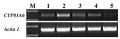 Thumbnail for version as of 11:13, 4 June 2014