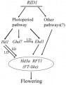 Thumbnail for version as of 06:25, 16 May 2014