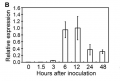 Thumbnail for version as of 08:18, 1 June 2014
