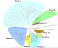 Thumbnail for version as of 08:42, 9 June 2014