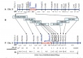 Thumbnail for version as of 14:09, 8 June 2014