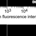 Thumbnail for version as of 12:44, 4 June 2014