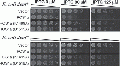 Thumbnail for version as of 14:35, 6 June 2014