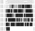 Thumbnail for version as of 01:28, 6 June 2016