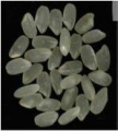 Thumbnail for version as of 06:28, 17 May 2014