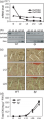 Thumbnail for version as of 13:05, 9 June 2014