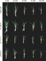 1-s2.0-S0168945211000185-gr4.jpg