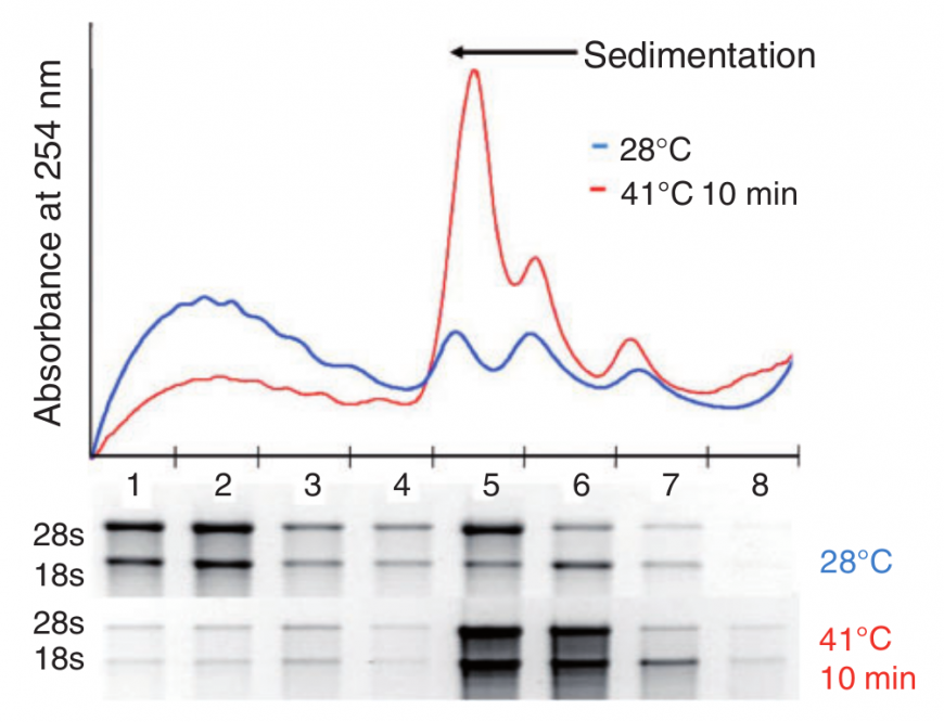 IC4R003-Microarray-2012-22722767-1.png